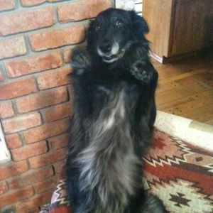 Meet your Posher, Vicki